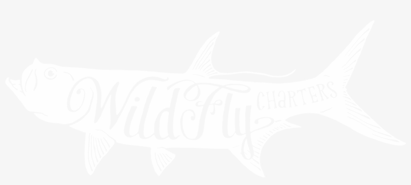 Pine Island Light Tackle And Fly Fishing Guide Logo - Fly Fishing Guide Logo, transparent png download