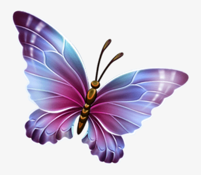 Download Purple Butterfly Png Clipart Pink And Purple Butterfly Png Image Transparent Png Free Download On Seekpng
