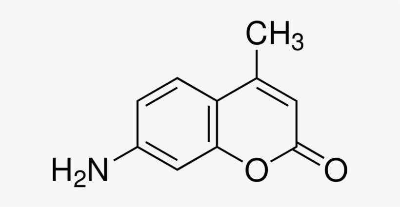 Explain The Nomenclature Of 7 Amino 4 Methylcoumarin - 3 5 Dimethylpyrazole, transparent png download