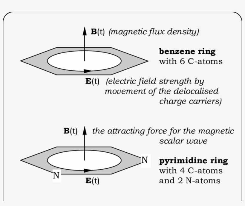 Ring Systems, Driving The Organic Chemistry - Circle, transparent png download