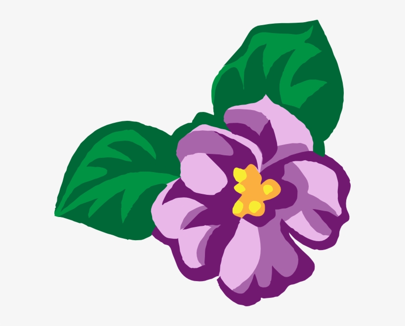 African - Violet Flower Clip Art, transparent png download