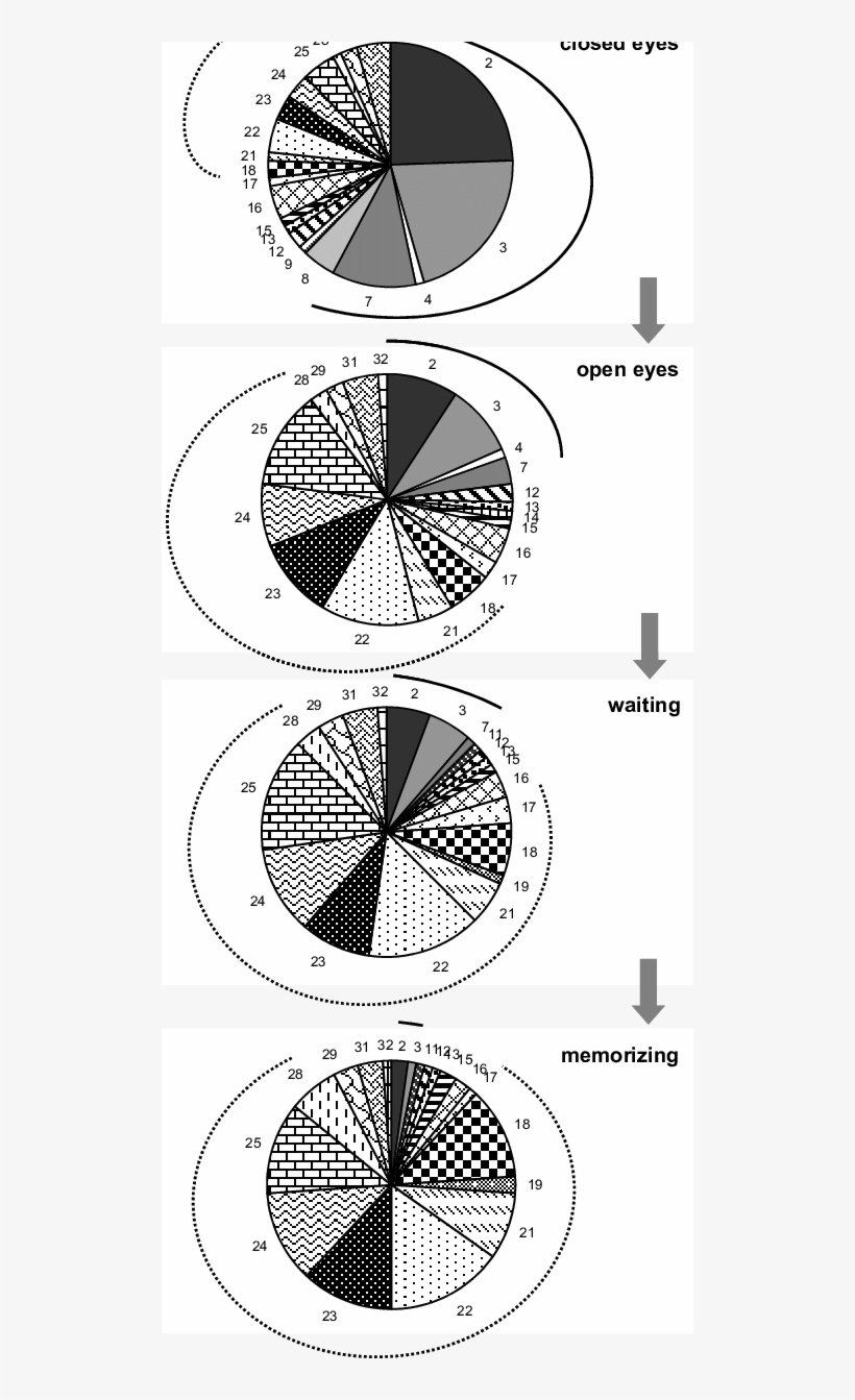 The Pie Diagrams During Consecutive Changes Of The - Circle, transparent png download