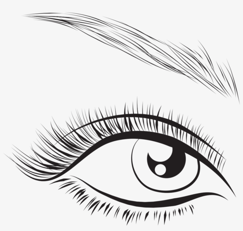 Png For Free Download On Mbtskoudsalg - Eyelash, transparent png download