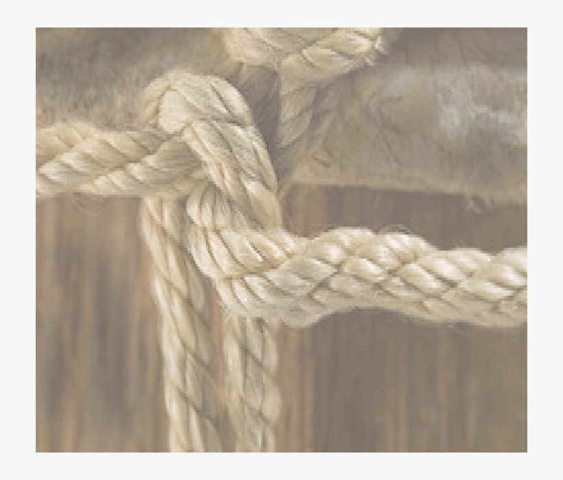 Home, transparent png download