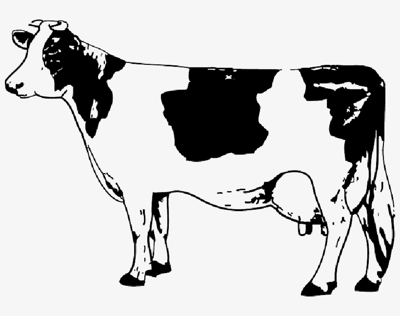Mb Image/png - Cow Clipart Black And White, transparent png download