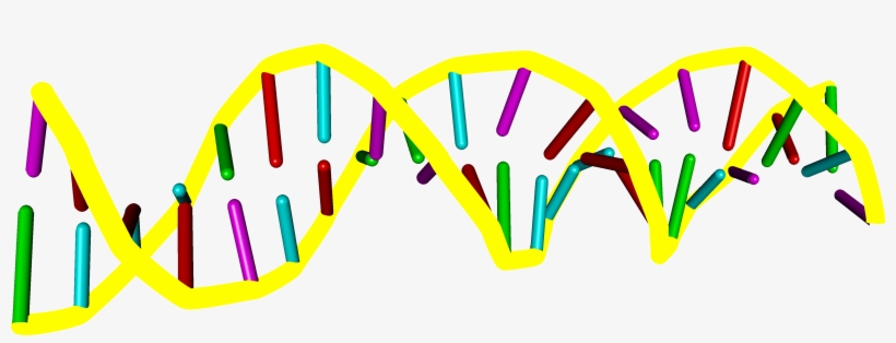 Enter Image Description Here - Graphic Design, transparent png download