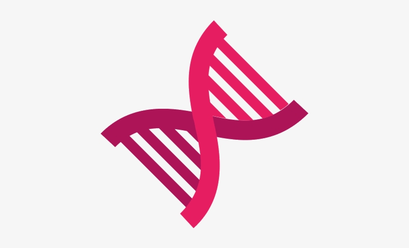 Nucleic Acid Double Helix, transparent png download