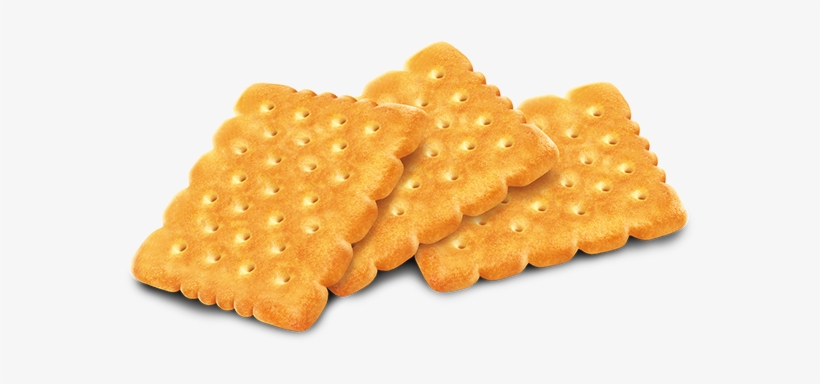 Biscuit Png Image Background - Biscuit Illustration, transparent png download