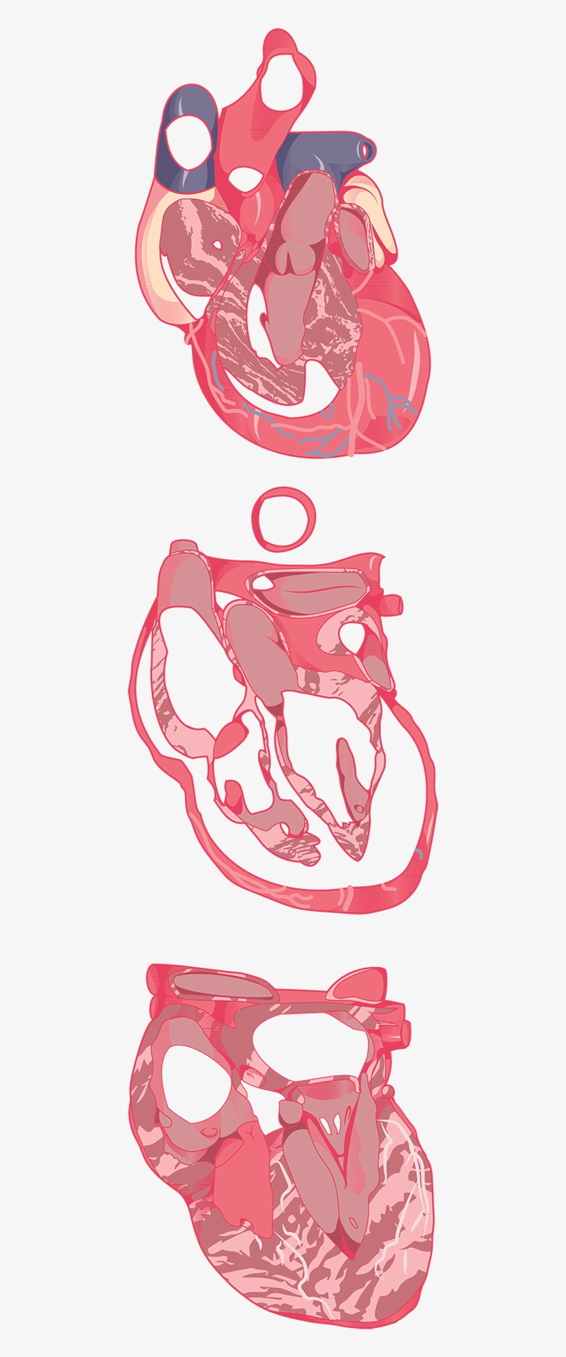 005 - Portable Network Graphics, transparent png download