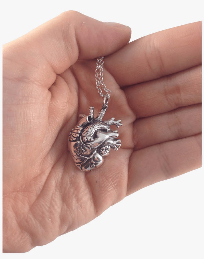 Mini Gold Anatomical Heart Pendant - Heart Pendant - Gold, transparent png download