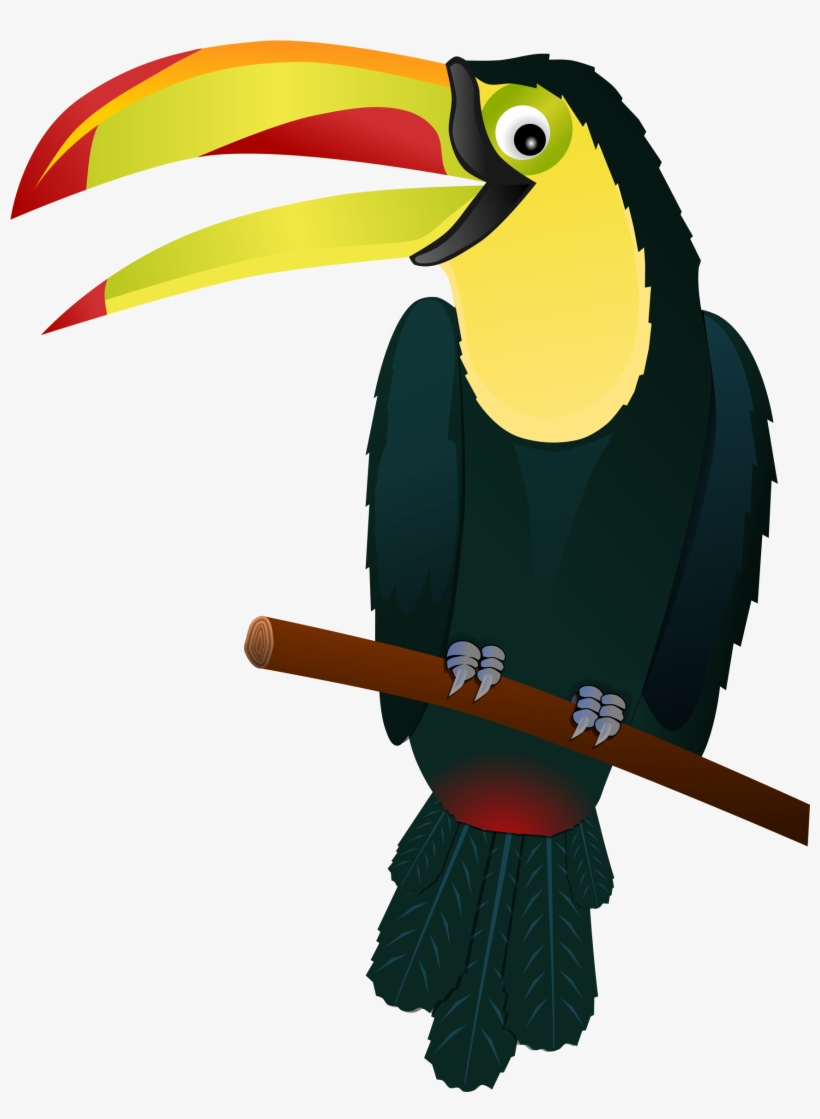 Toucan - Toucan Clipart Png, transparent png download