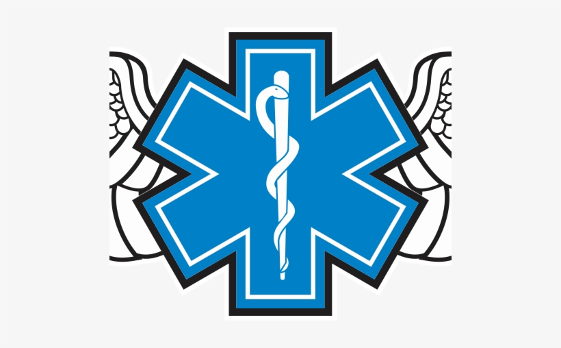 Wg#002 S1 Wings Rod Of Asclepius - Star Of Life Paramedic, transparent png download