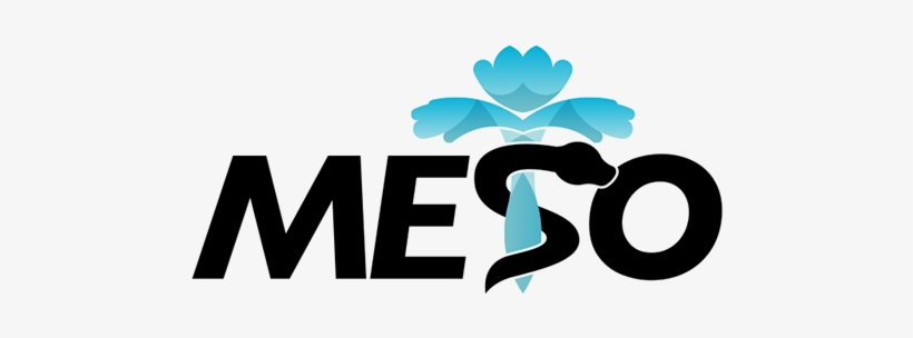 Meso Is A Non-profit, Student Run Organization At The - Student, transparent png download