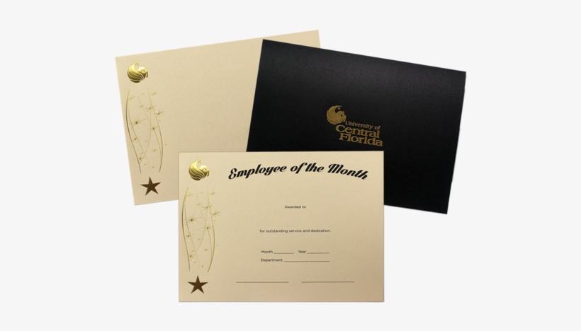 Certificate Printing - Certificate Printing Png, transparent png download