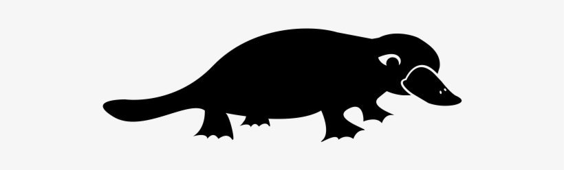 Platypus, transparent png download