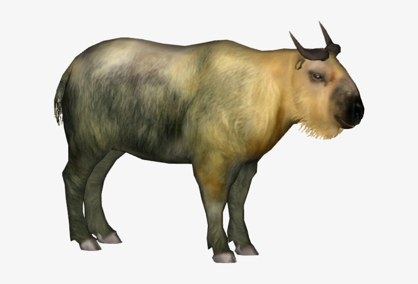 Ultimate Ungulates - Zt2 Takin, transparent png download