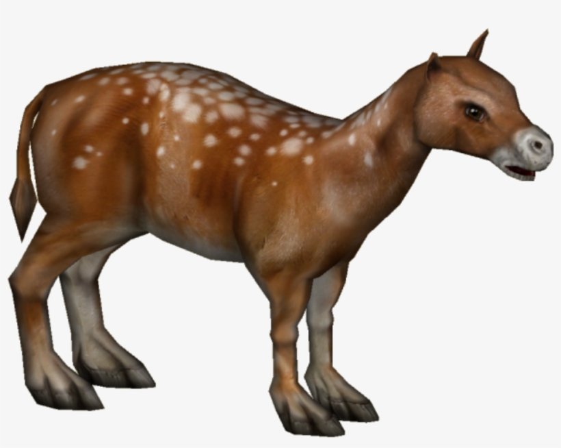 Eohippus - Mustang Horse, transparent png download