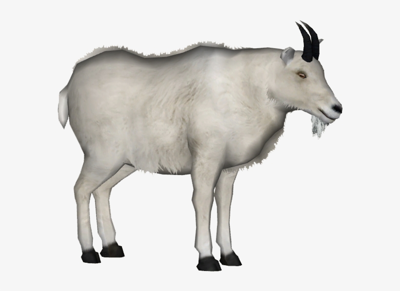 Mountain Goat - Mountain Goat Png, transparent png download