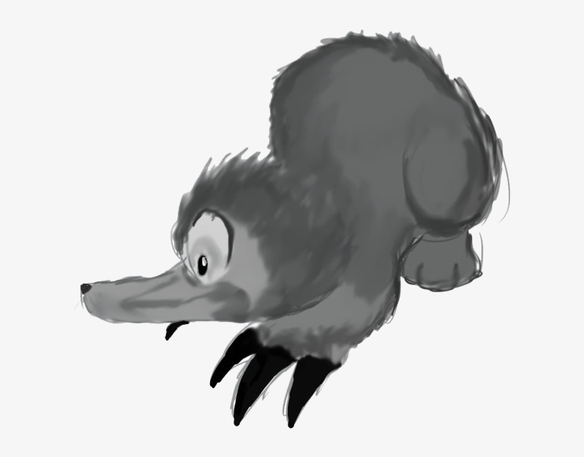 Platypus - Duck, transparent png download
