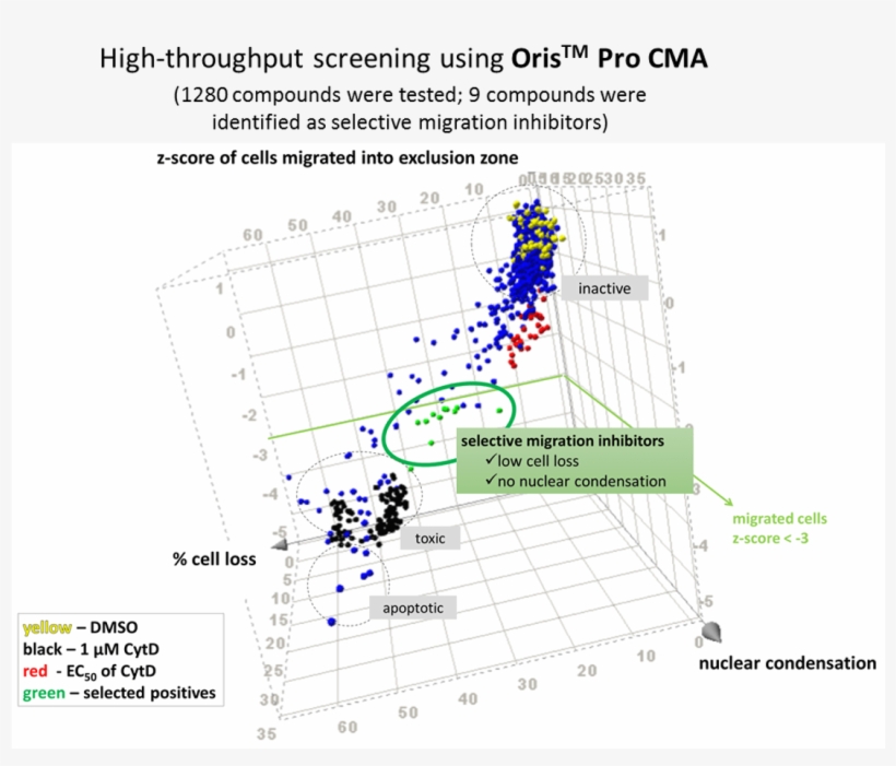 High-throughput Screening Using Oris Pro Cell Migration - High-throughput Screening, transparent png download