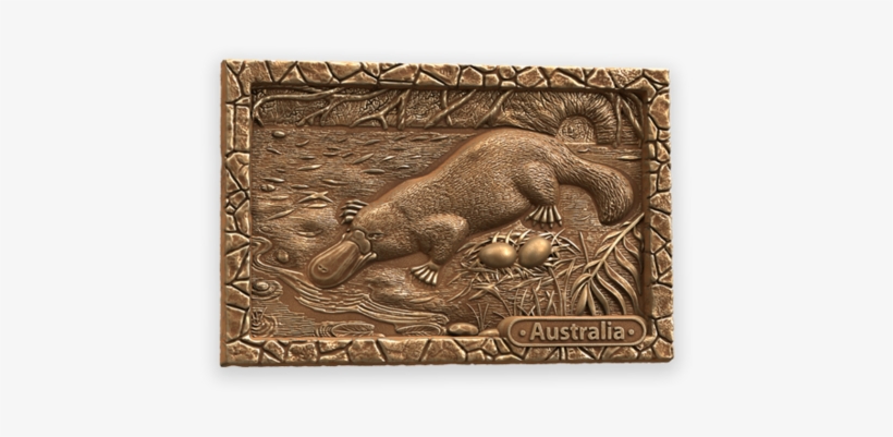 Platypus 3d Chocolate - Boar, transparent png download