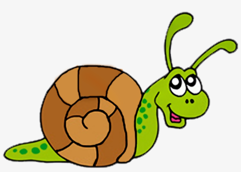Free Clipart Spot - Clipart Images Of Snail, transparent png download