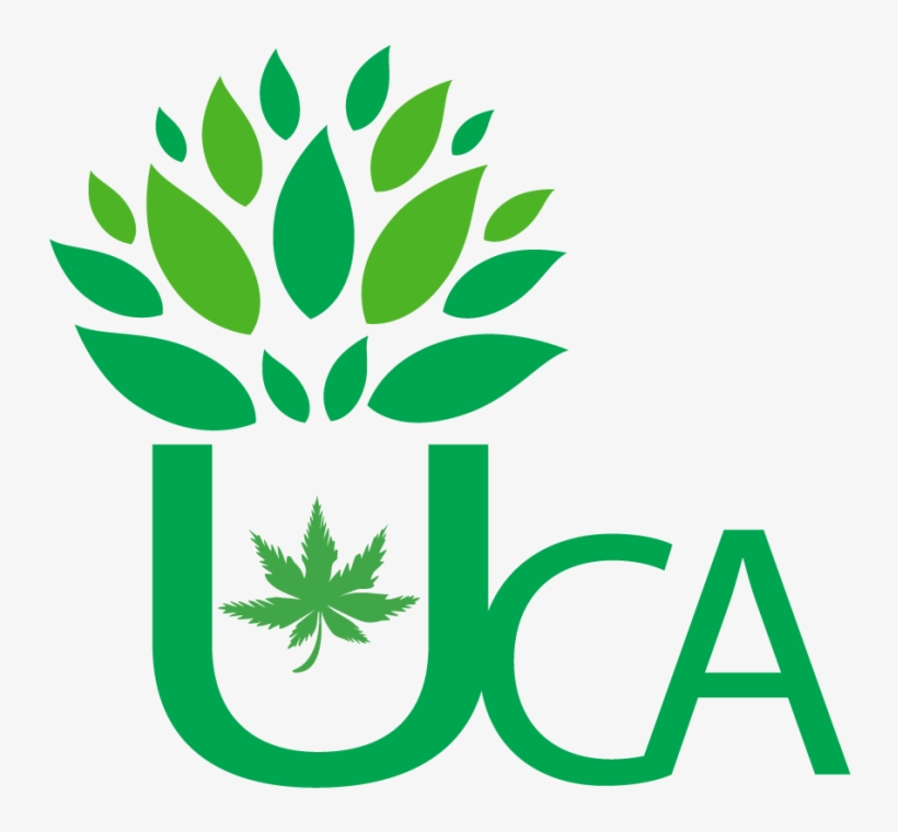 Director, Umpqua Cannabis Association 541 530 - Immanuel Baptist Church Logo, transparent png download