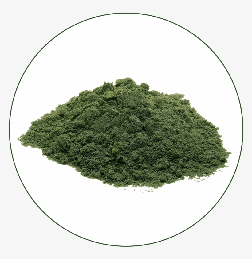 Chlorella, transparent png download