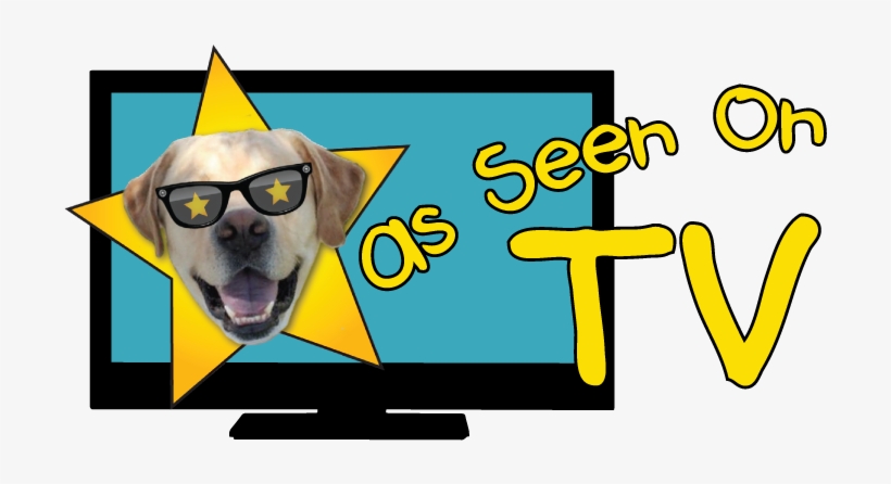 See What Makes Us A Great Pet Vet - Television, transparent png download