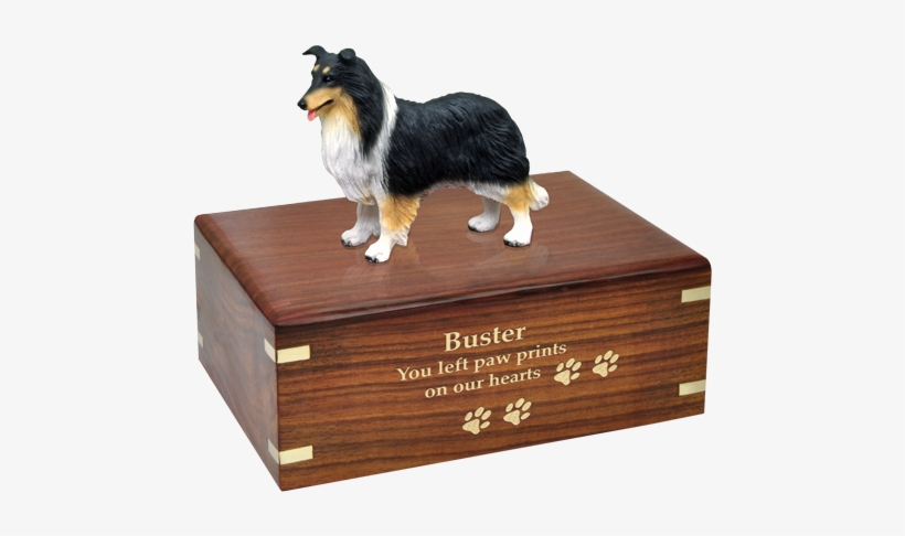 Border Collie Dog Figurine Wood Urn Engraved With Gold - Pug Urn, transparent png download
