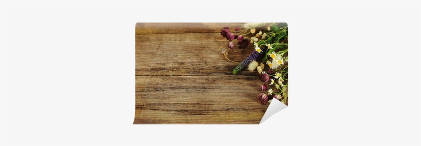 Blossom Border On Wood Texture - Summer Border Background Transparent, transparent png download