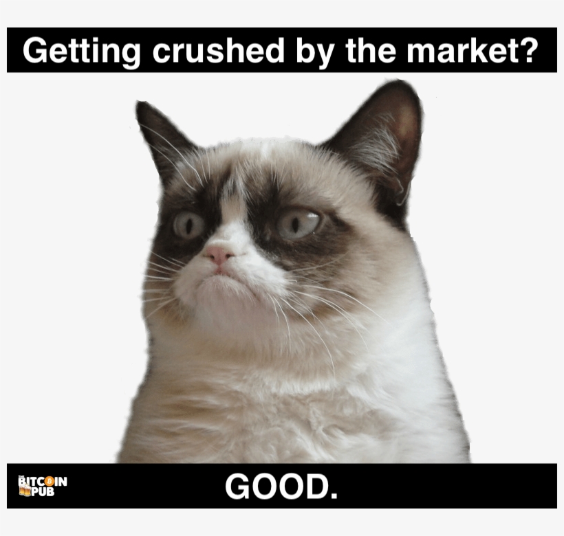 5845e0f37733c3558233c0e9 188 Kb - Grumpy Cat Postcard Book: 30 Postcards Unlimited Frowns, transparent png download