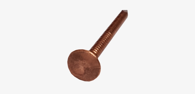 Copper 30mm Clout Nails - Key, transparent png download