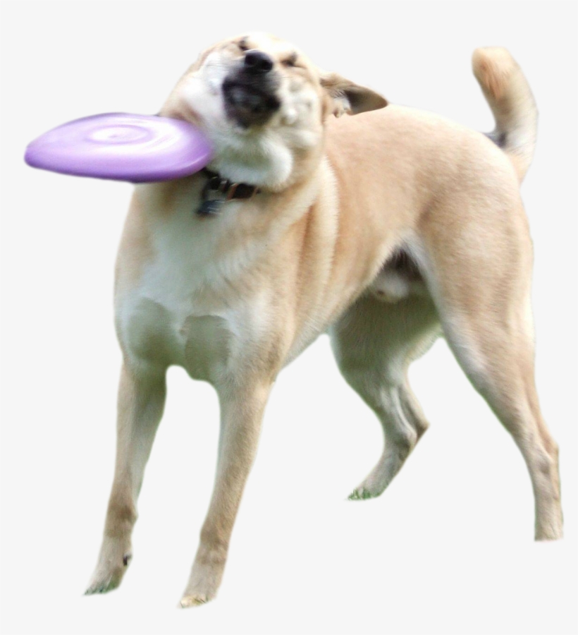 Clipart Resolution 1206*1265, transparent png download