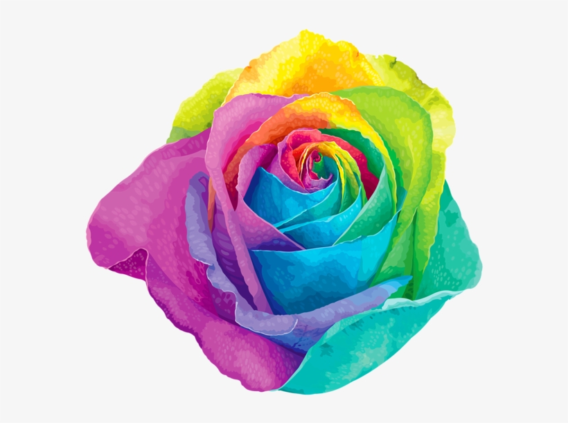 Picture Download Multicolored Rose Transparent Png - Rainbow Rose Clipart, transparent png download