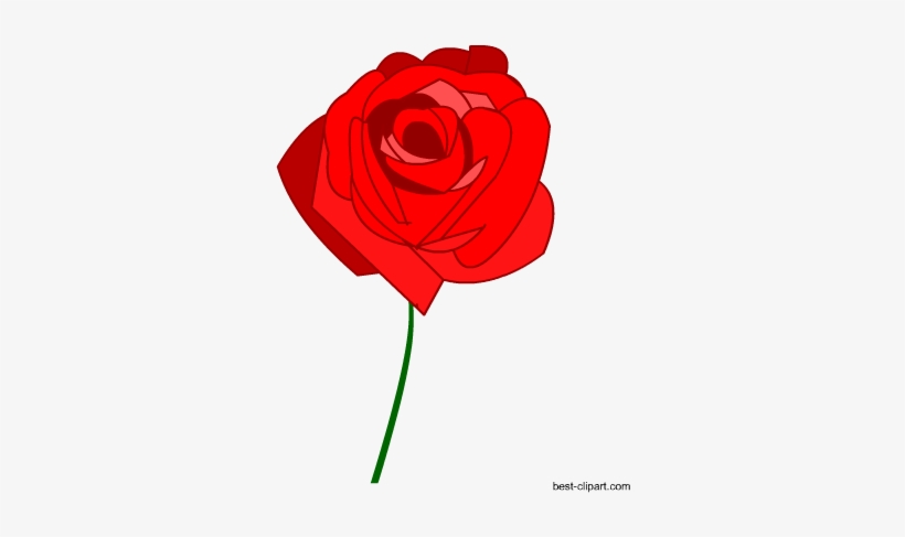 Red Rose Free Clip Art Image - Garden Roses, transparent png download