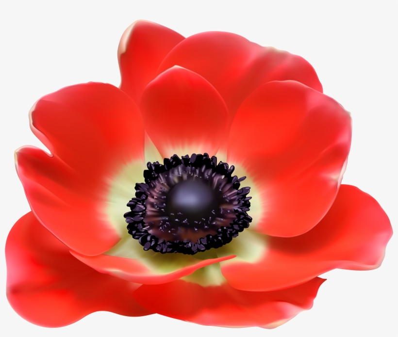 Red Flower Png Clip Art Image - Cd Romio. 再恋-サイレン-, transparent png download
