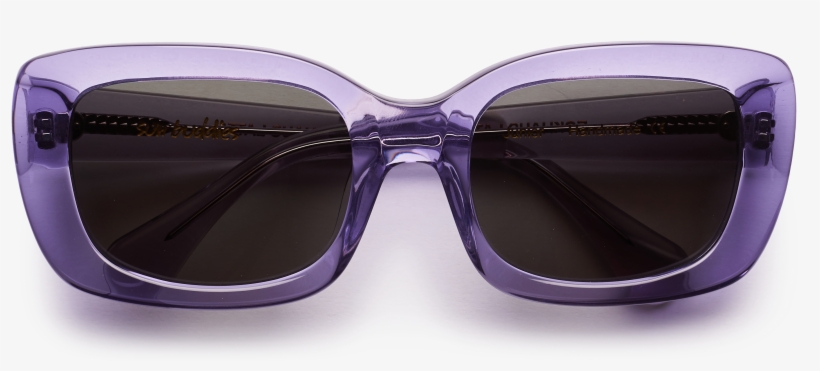 Posted On August 15, - Eckhaus Latta Sun Buddies, transparent png download