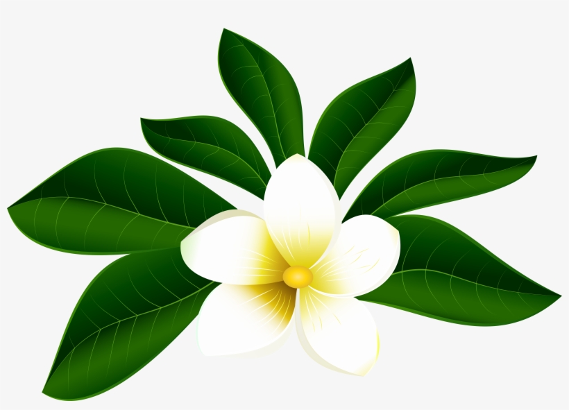 Download Tropical Exotic Flower Png Clip Art Imageu200b Gallery ...