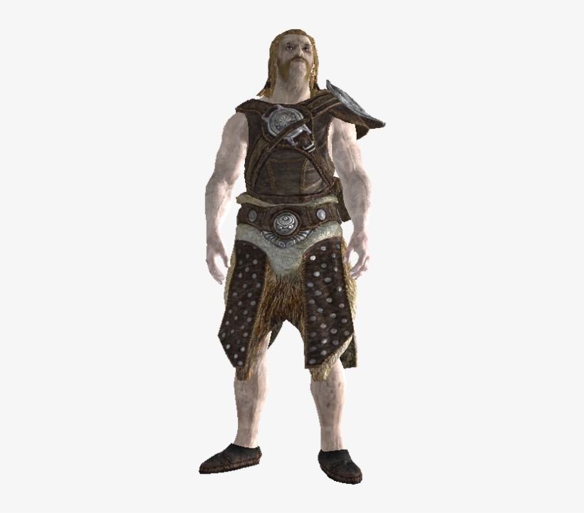 Niels - Dnd Male Human Dual Wielder, transparent png download