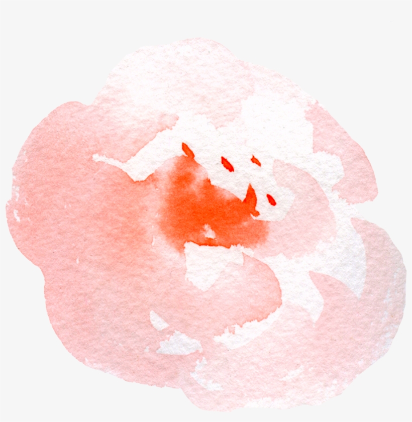 Default - Still Life, transparent png download