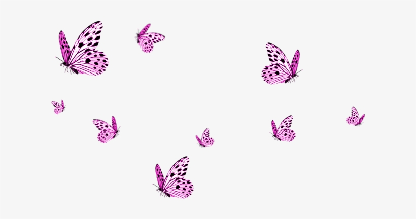 Transparent Pictures Free Icons - Transparent Background Butterflies Png, transparent png download