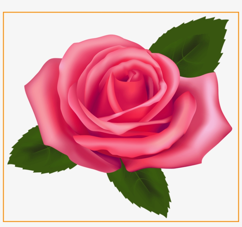 Marvelous Pink Rose Png Clipart Best Web Pics Of A - Rose Clipart, transparent png download
