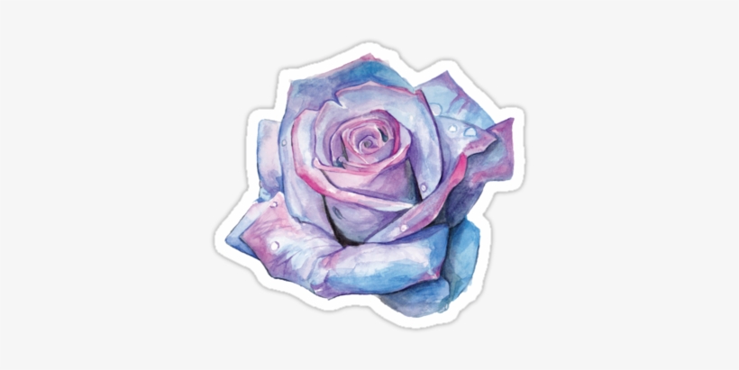 Watercolour Illustration Of A Blue And Pink Rose • - Blue And Pink Watercolor, transparent png download