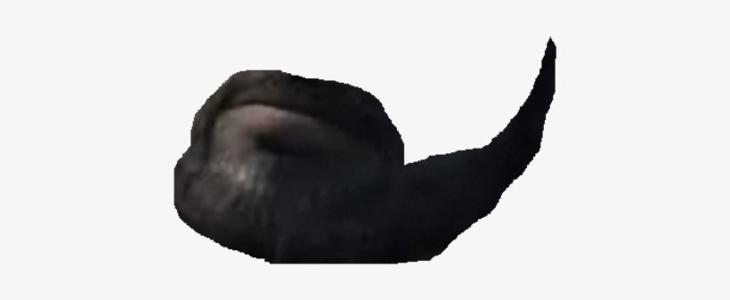 Dom's Beard - Keemstar Beard Png, transparent png download