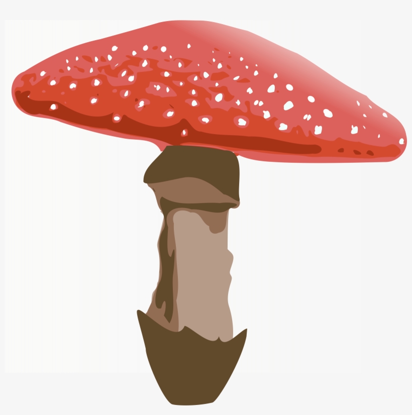 Amanita Muscaria Png File - Alice In Wonderland Mushroom Png, transparent png download