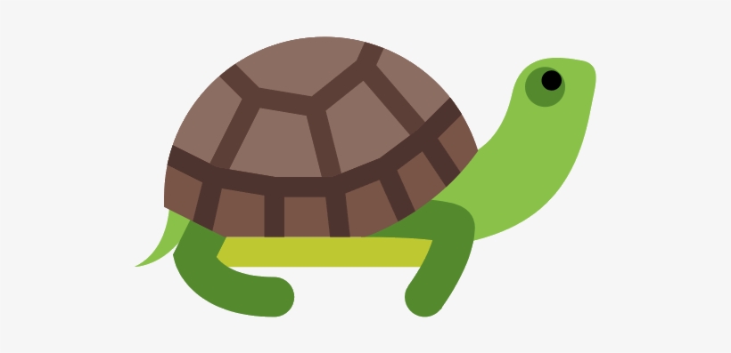 Turtle Png Photos - Turtle Clipart Transparent Background, transparent png download