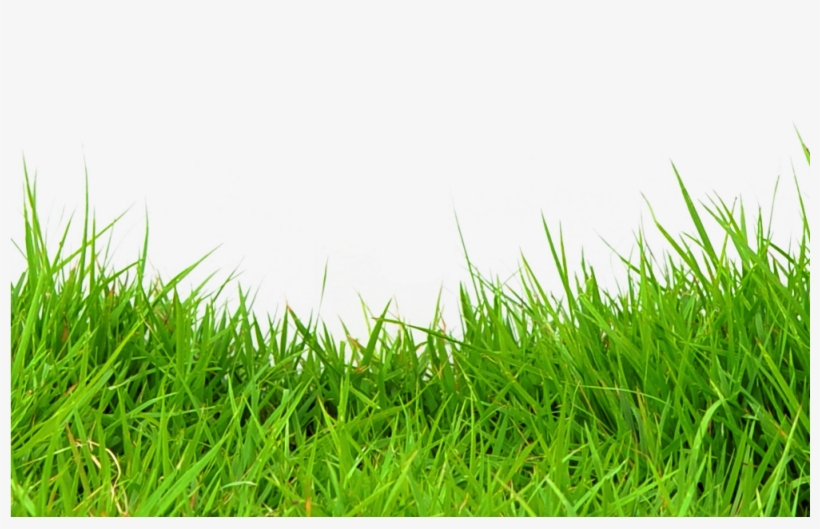 Click Here To View Our Flyer - Metal Detector, transparent png download