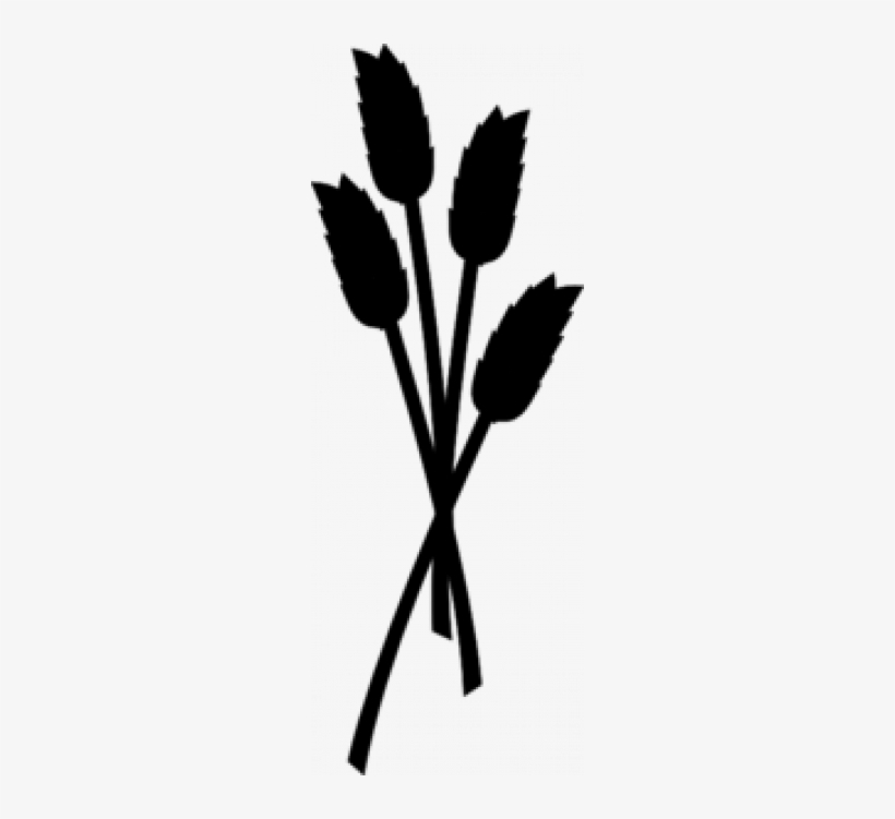 Vector Wheat Silhouette - Wheat Silhouette Clipart, transparent png download