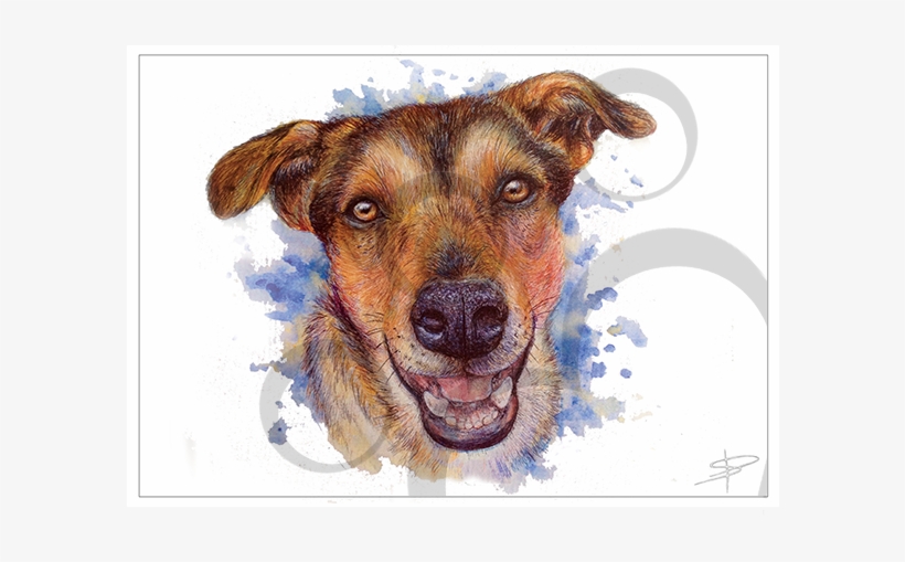 Weston - Treeing Tennessee Brindle, transparent png download